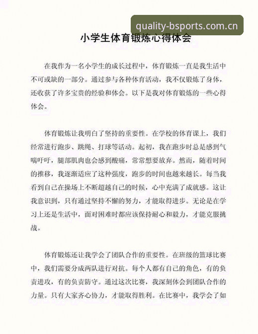 BSports使用体验 BSports体育深度使用心得:从数据查询到离线功能的全维度体验